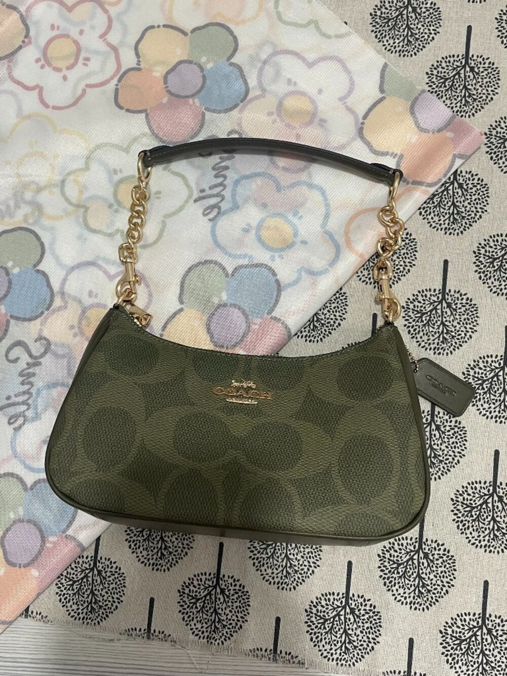 Coach Teri Mini Green Shoulder Bag
